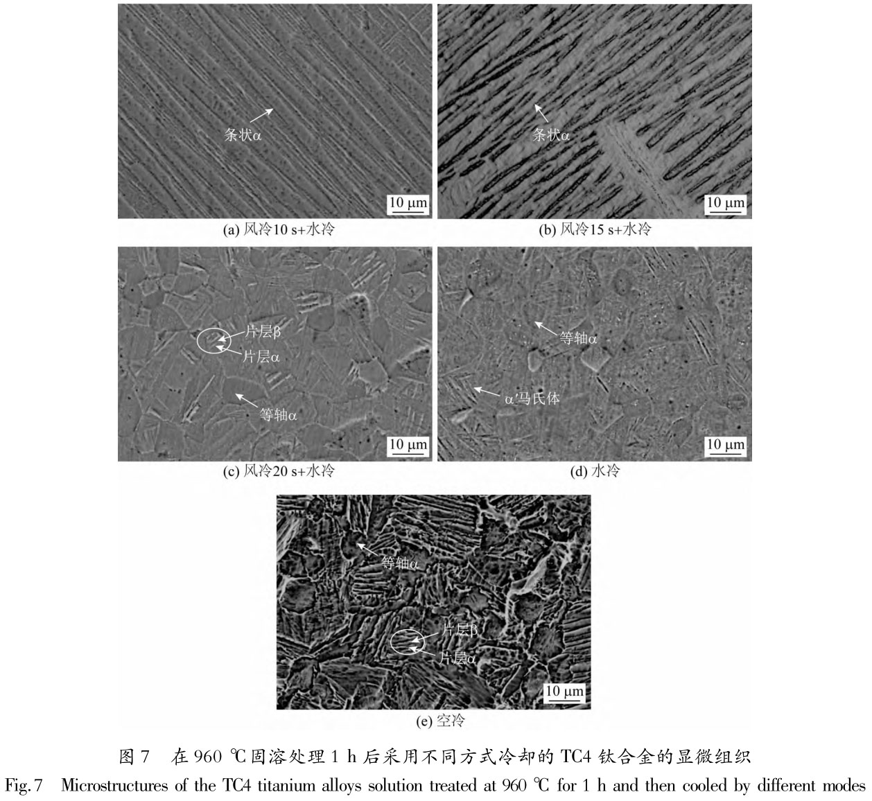 1705831272641016.jpg t7.jpg