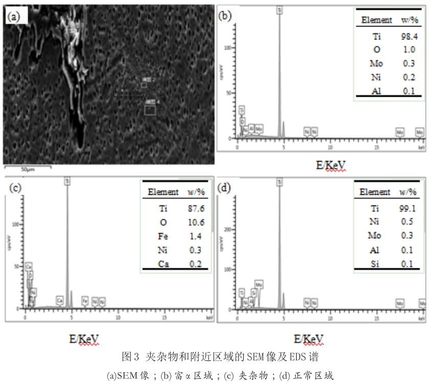 1686754440749126.jpg t3.jpg